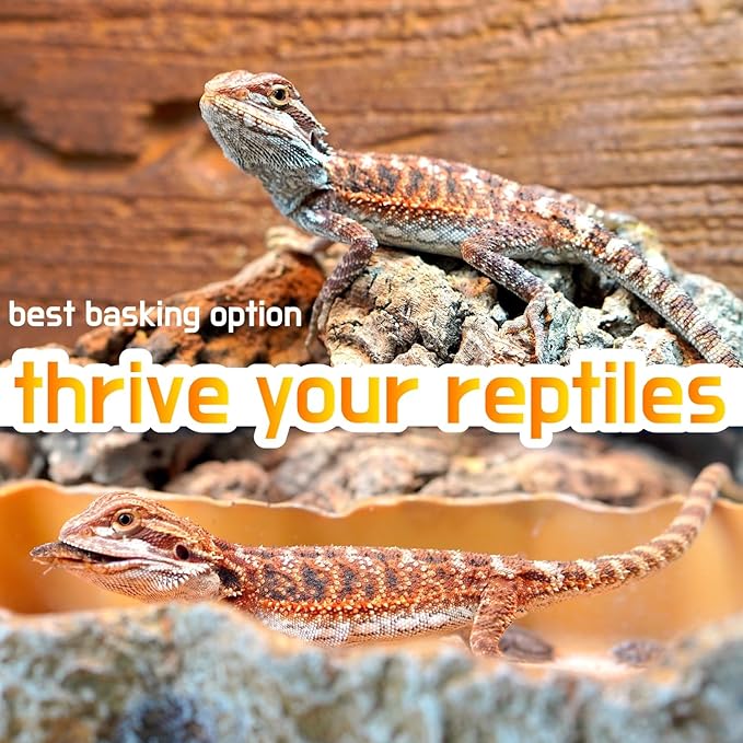 Reptile Heat Lamp, 2-Pack 100W Intense Basking Spot, 2024 G3,Reptile Basking Bulb Light, UVA Heat Lamp Bulbs for Bearded Dragon Turtle Chicken ReptiKing