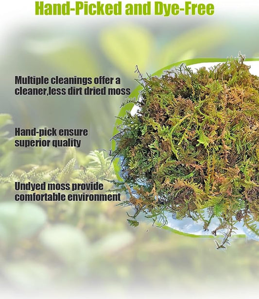 Sphagnum Moss for Reptile, Reptile Tank Accessories, Terrarium Substrate Bedding for Geckos, Hermit Crab, Frog, Snake, 5.3OZ Helidrago