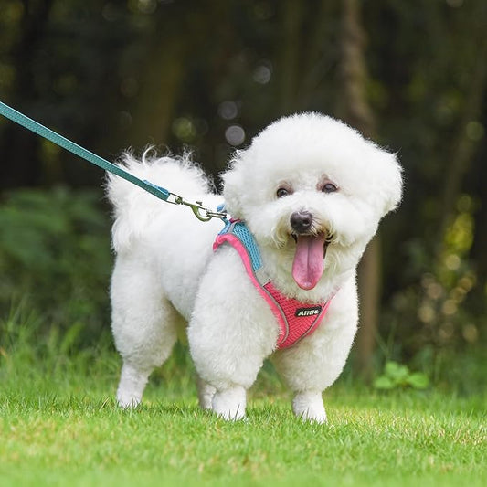 AIITLE Small Harness for Puppy with A Leash - Spring Dog Vest Harness with Super Breathable Mesh, Reflective No-Pull Pet Harness for Outdoor Walking, Camping for Small Dogs, Cats Hot Pink XXS AIITLE-FORPETSBETTERLIFE