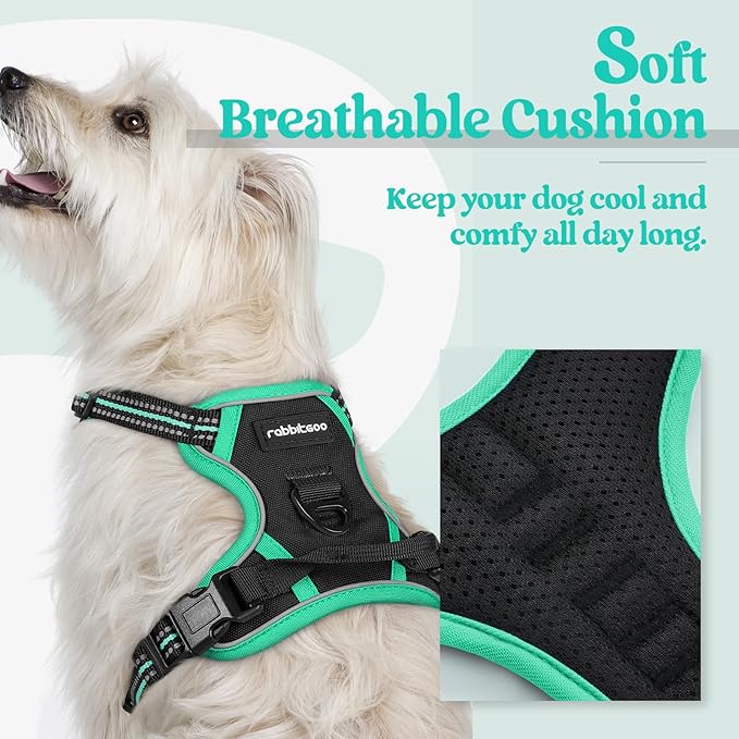 rabbitgoo Dog Harness No Pull with 2 Leash Clips, Adjustable Soft Padded, Reflective Oxford No Choke Pet Vest with Easy Control Handle for Puppy, Black & Turquoise, XS rabbitgoo