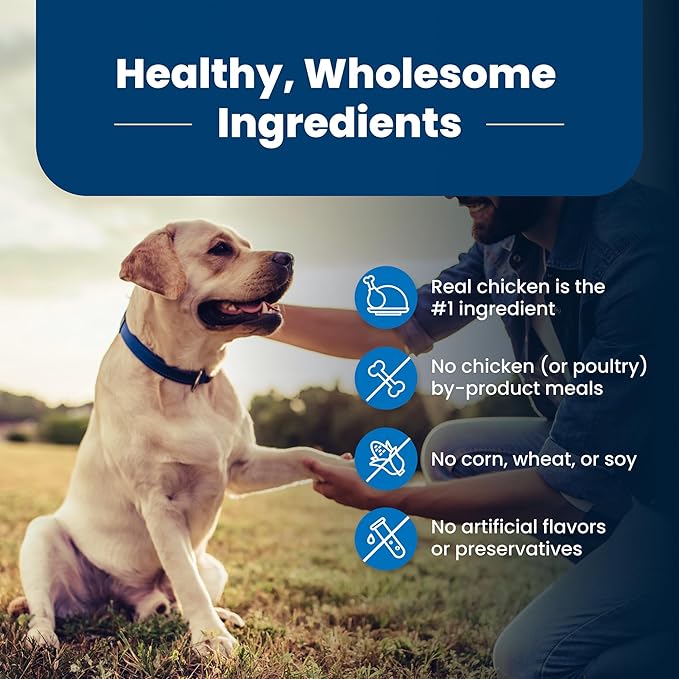 Blue Buffalo Life Protection Formula Senior Dry Dog Food, Supports Joint Health and Mobility, Made with Natural Ingredients, Chicken & Brown Rice Recipe, 5-lb. Bag - PAWPICO