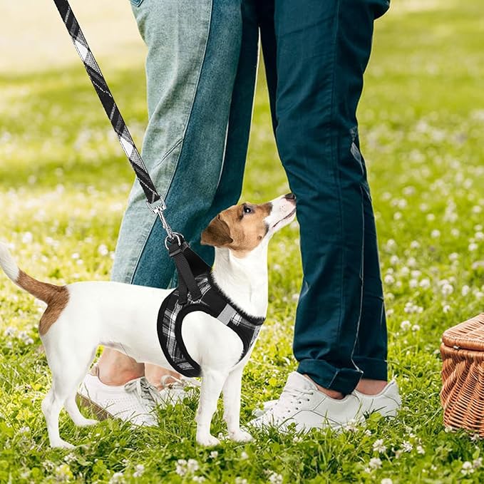 PUPTECK Adjustable Dog Harness Collar and Leash Set Step in No Pull Pet Harness for Small Medium Dogs Puppy and Cats Outdoor Walking Running, Soft Mesh Padded Reflective Vest Harnesses, Black M PUPTECK