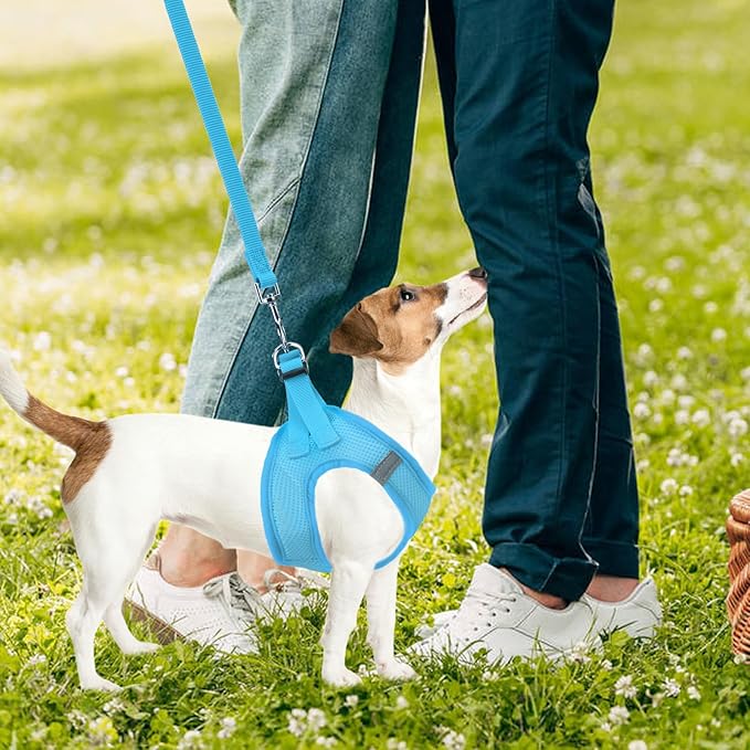 PUPTECK Adjustable Dog Harness Collar and Leash Set Step in No Pull Pet Harness for Small Medium Dogs Puppy and Cats Outdoor Walking Running, Soft Mesh Padded Reflective Vest Harnesses PUPTECK