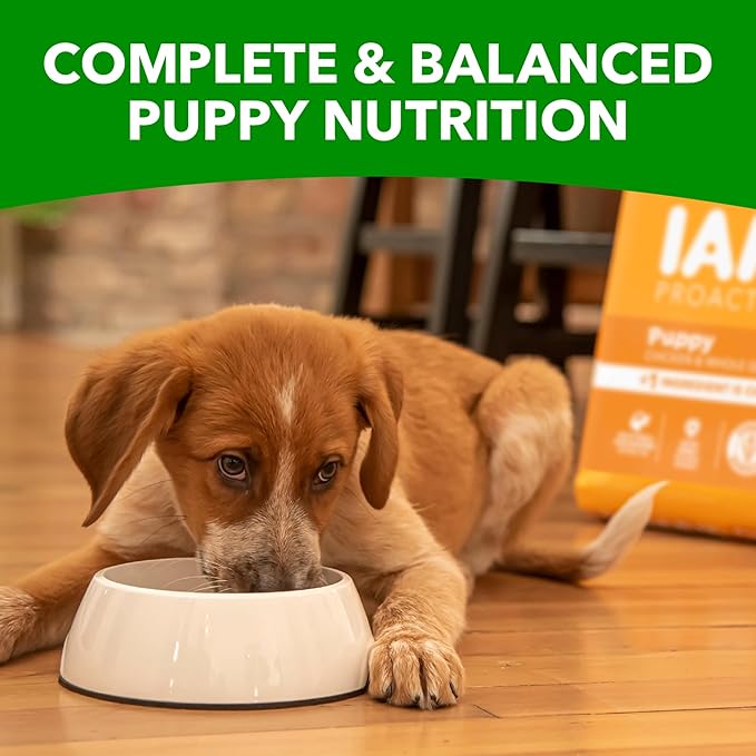 IAMS Smart Puppy Dry Dog Food with Real Chicken, 15 lb. Bag - PAWPICO