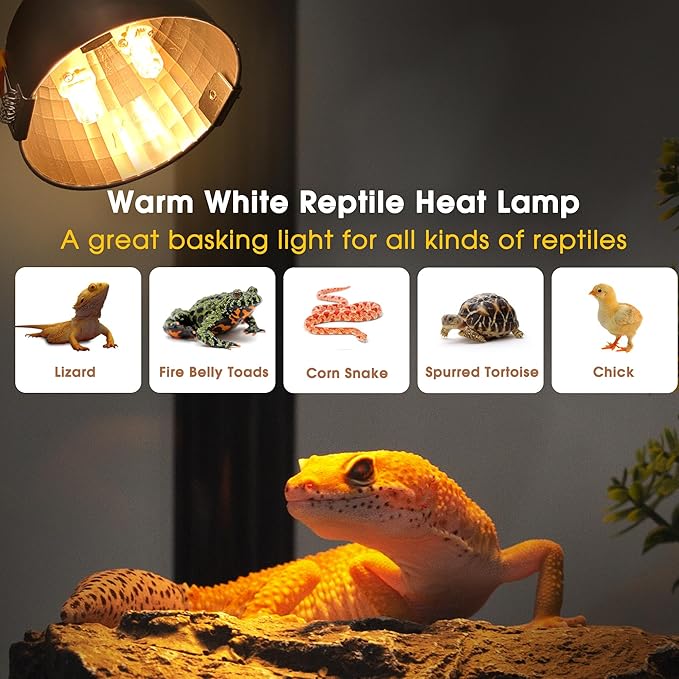 Briignite Reptile Heat Lamp Fixture, Max 100W - 4.3 inch Light Fixture with Dimmable Temperature Switches, G9 Heat Bulb & Dome UVB Light Perfect for Reptile Terrariums and Tortoise Habitats WelcometoBriigniteenjoyyourshopping