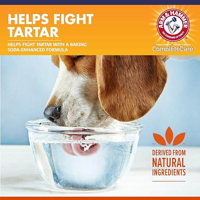 Arm & Hammer Complete Care Fresh Dental Water Additive for Dogs, 16 Fl Oz - Flavorless Dog Water Additive, Dog Mouth Wash, Dog Dental Rinse, PetWater Additive, Pets Dental Care for Bad Breath ARMHAMMER