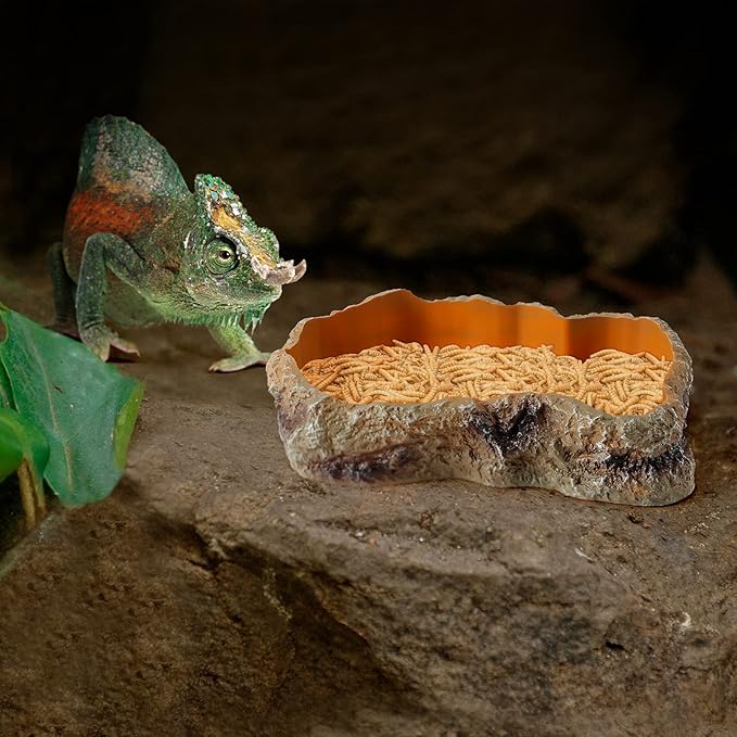 Reptile Food Water Rock Bowls - Lizard Resin Rock Worm Feeding Dish, Amphibian Feeder Bowl Terrarium Decor for Bearded Dragons, Chameleon, Leopard Gecko, Frog, Snake, Hermit Crabs, Turtle Spider Pet HELIME