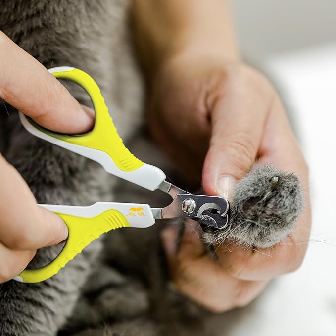 Mr. Pen- Cat Nail Clipper, Lime Green, Cat Nail Trimmer, Cat Nail Clippers, Cat Claw Clippers, Cat Clippers for Nails, Pet Nail Clippers, Kitten Nail Clipper, Small Dog Nail Clipper Cat Claw Trimmer - PAWPICO