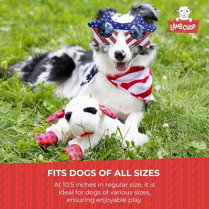 Multipet Lamb Chop Dog Plush Toy w/Birthday Hat - Squeaky Dog Toy for All Dogs - Soft Plush Dog Toy - Stuffed Animal Dog Toy for Playing - Cute Dog Birthday Toy (10.5”, Blue Hat, 5 Squeakers) - PAWPICO