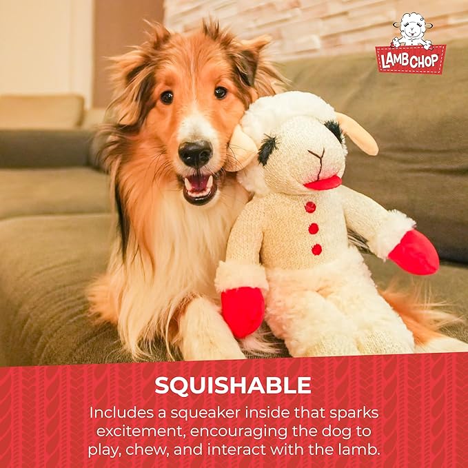 Multipet's Officially Licensed Lamb Chop Jumbo White Plush Dog Toy, 24-Inch - PAWPICO