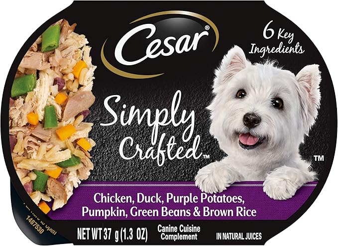 CESAR SIMPLY CRAFTED Adult Wet Dog Food Meal Topper, Chicken, Duck, Purple Potatoes, Pumpkin, Green Beans & Brown Rice, 1.3oz., Pack of 10 - PAWPICO