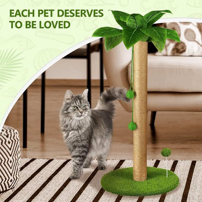 Dohump Cat Scratching Post, 31" Tall Scratch Tree with Premium Sisal Rope, Two Interactive Dangling Balls and Spring Ball Toys for Indoor Kittens and Cats - PAWPICO