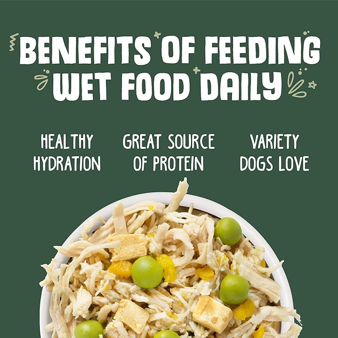 Weruva Classic Dog Food, Green Eggs & Chicken with Chicken Breast & Pumpkin in Gravy, 14oz Can (Pack of 12) - PAWPICO