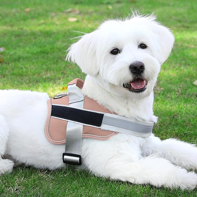 Bolux Dog Harness, No-Pull Reflective Dog Vest, Breathable Adjustable Pet Harness with Handle for Outdoor Walking - No More Pulling, Tugging or Choking Bolux