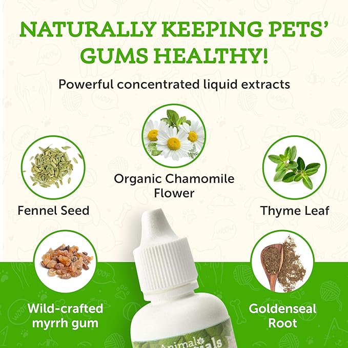 Animal Essentials Healthy Gums for Dogs & Cats - Dental Care, Mouth & Gum Support, Dental Drops, All Natural Pet Supplement, Oral Care - 1 Fl Oz AnimalEssentials