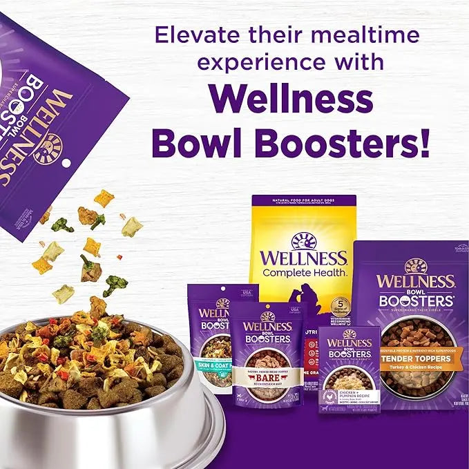 Wellness Complete Health Adult Dry Dog Food, Beef & Barley Recipe, 5 Pound Bag - PAWPICO