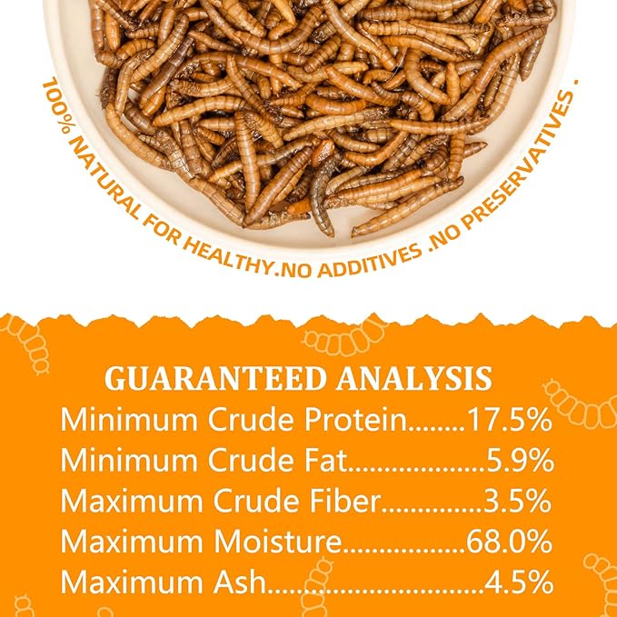 6 Pack Canned Mealworms for Reptiles, Fish, Birds and Small Animals, Meal Worms, Healthy High Protein Treat, Reptile Bird Fish Food 7.2 Ounces Total Jadingfarm