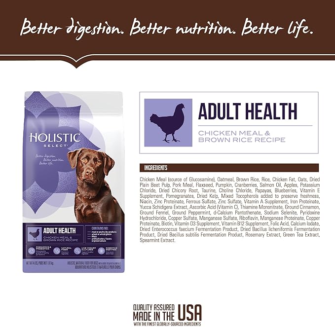 Holistic Select Natural Dry Dog Food, Chicken Meal & Rice Recipe, 30-Pound Bag - PAWPICO
