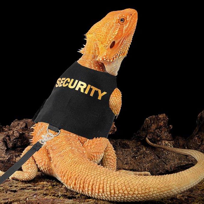 Bearded Dragon Harness and Leash Set - Escape Proof Adjustable Lizard Reptiles Harness with 5 ft Short Leash for Walking Outdoor tukoaw