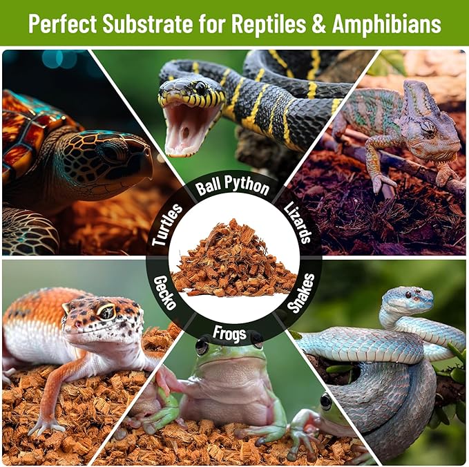 Riare 2 Pack Natural Coconut Chip Substrate for Reptiles- Compressed Coconut Husk Reptiles Bedding, Coco Husk Chip Terrarium Substrate for Snakes, Tortoises, Ball Python, Frogs, Bearded Dragon, Lizard Riare