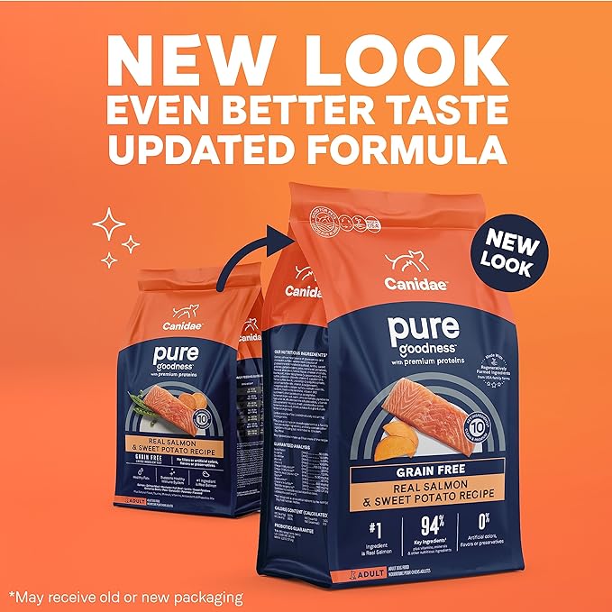 Canidae Pure Real Salmon & Sweet Potato Recipe Adult Dry Dog 22 LB - PAWPICO