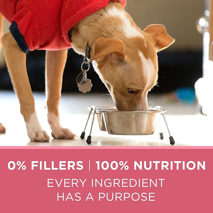 Purina ONE Natural, Sensitive Stomach Dry Dog Food, +Plus Skin & Coat Formula - 16.5 lb. Bag - PAWPICO
