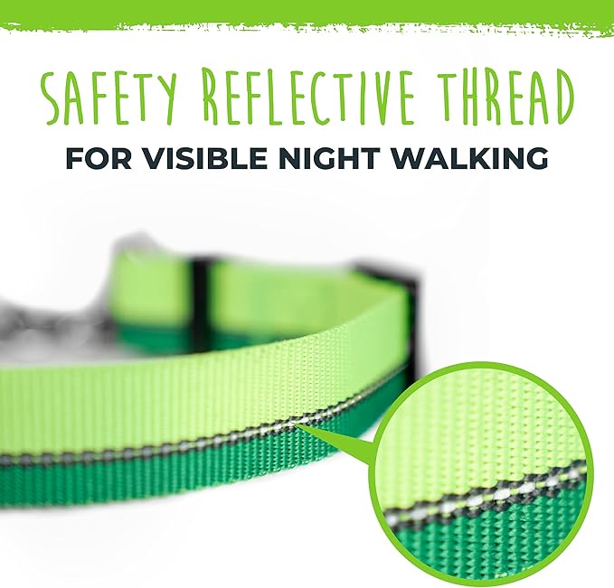 Mighty Paw Martingale Dog Collar 2.0 | Trainer Approved Limited Slip Collar with Stainless Steel Chain & Heavy Duty Buckle - Modified Cinch for Gentle & Effective Pet Training - S/M, Green MightyPaw