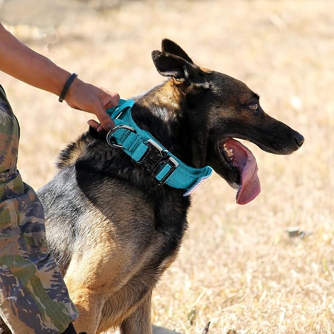 Tactical Dog Collar Military Dog Collar Adjustable Nylon Dog Collar Heavy Duty Metal Buckle with Handle for Dog Training,with Patches (Light Blue 1, L) Celifelight