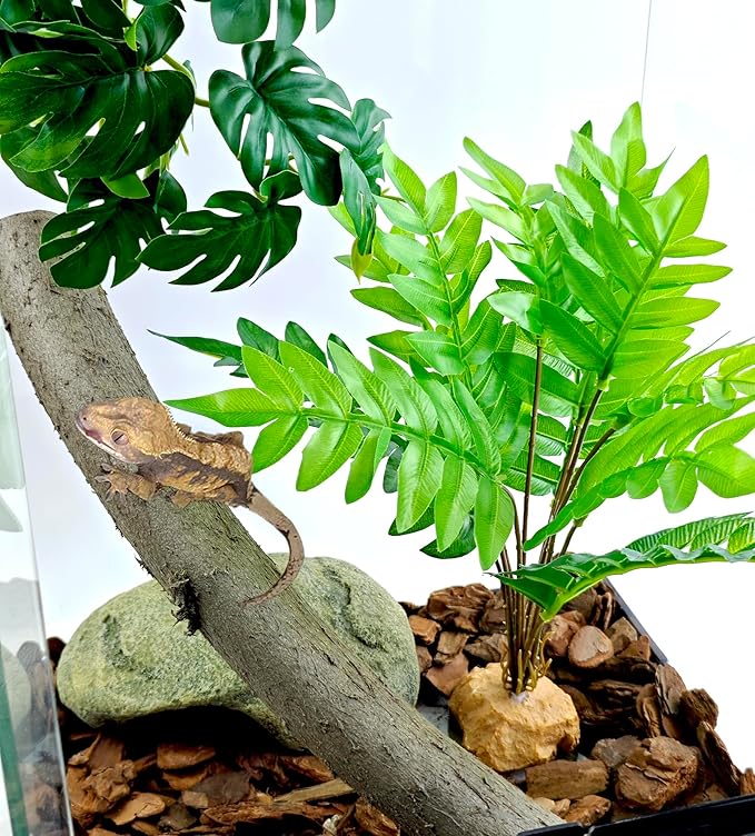 Woyrise Reptile Artificial Plants for Terrarium Decor, Amphibian Habitat Decorations Bearded Dragon Tank Accessories fit Crested Gecko Leopard Lizard Chameleon Ball Python Snake Frog - Fake Osmunda Woyrise