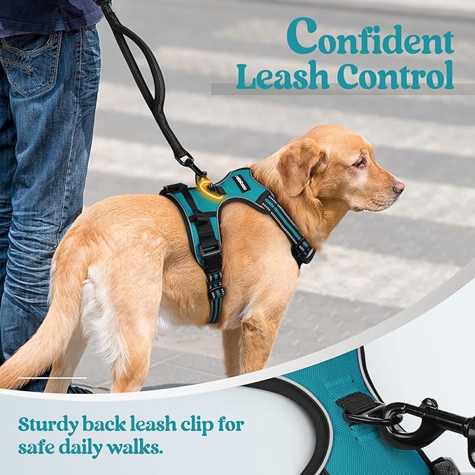 rabbitgoo Dog Harness No Pull with 2 Leash Clips, Adjustable Soft Padded, Reflective Oxford No Choke Pet Vest with Easy Control Handle for Medium Sized Dogs, Teal, M rabbitgoo
