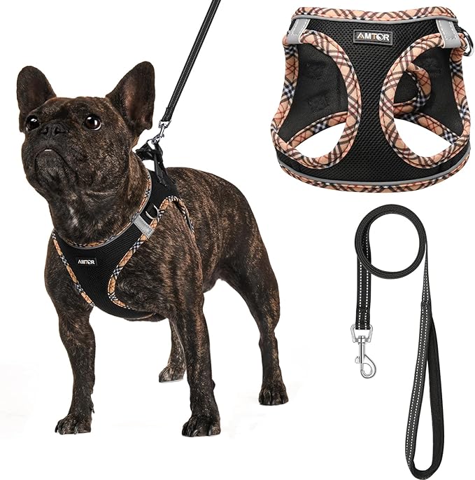 AMTOR Small Dog Harness with Leash Set, No Escape Easy Walk Puppy Harnesses for Training Walking, Step-in Reflective Soft Dogs Vest for XS S Medium Extra-Small Large Sized Dog(BlackYellow,M) AMTOR