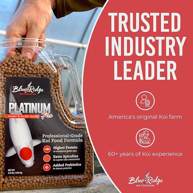 Blue Ridge Koi Fish Food 4.5lb - Koi Food 3/16” Platinum Pro Formula Goldfish Food, Premium Fish Food for Ponds, Floating Pond Pellets Fish Food BlueRidgeFishHatchery