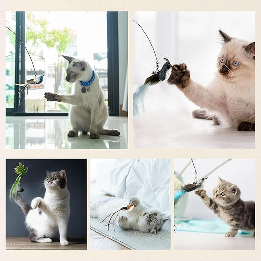 Deluxe Bird Replacement Heads for Cat Toys - Set of 5 - Realistic Feather Designs Including Blue Floral, Two-Tone, Traditional, Black & White, Green Hummingbird - Easy Clip-On - PAWPICO