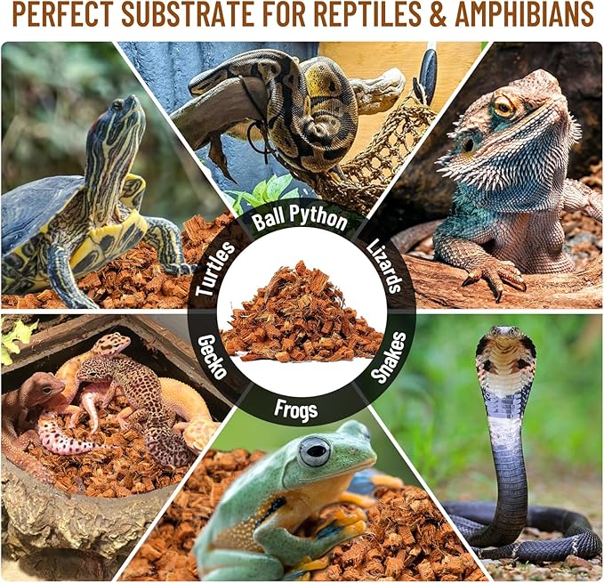 Riare 10LB Coconut Chip Substrate for Reptiles, 72 Quart Coconut Fiber Substrate Coco Chips Substrate Coconut Husk Bedding for Snakes, Tortoises, Ball Python, Bearded Dragon, Geckos, Lizards, Frogs Riare