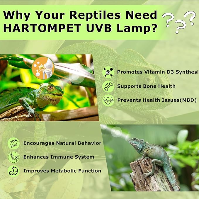 5.0 UVB Reptile Light 13W, Compact Tropical Lamp, Coil UVB Bulbs, UVA Fluorescent Bulbs for Chameleons, Lizard, Turtle, Ideal Lighting for Small Reptile Tanks,Amphibians Terrarium Habitat HARTOMPET