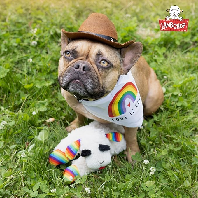 Multipet Lamb Chop Dog Plush Toy w/Birthday Hat - Squeaky Dog Toy for All Dogs - Soft Plush Dog Toy - Stuffed Animal Dog Toy for Playing - Cute Dog Birthday Toy (10.5”, Blue Hat, 5 Squeakers) - PAWPICO