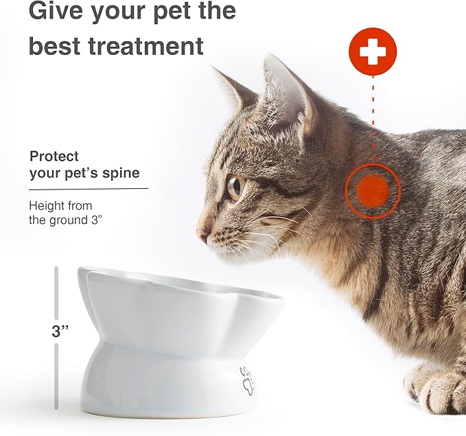 Kaiikai’s Slow Feeder Dog Bowls and Cat Food Bowl 13 oz Ceramic Dog Water Bowl Elevated Slow Feeder Dog Food Bowls Slow Feeder Cat Bowl Small Dog Slow Feeder Bowl for Dry and Wet Food Puppy Supplies - PAWPICO