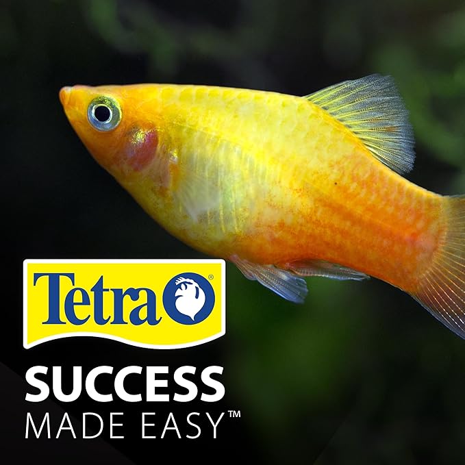 TetraColor Tropical Flakes, Color Boosting Fish Food, Nutritionally Balanced Diet for Tropical Fish, 2.2 lbs Tetra