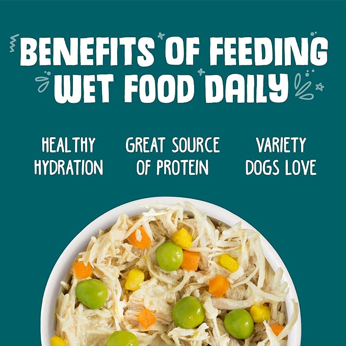 Weruva Classic Dog Food, Funky Chunky Chicken Soup with Chicken Breast & Pumpkin in Gravy, 14oz Can (Pack of 12) - PAWPICO
