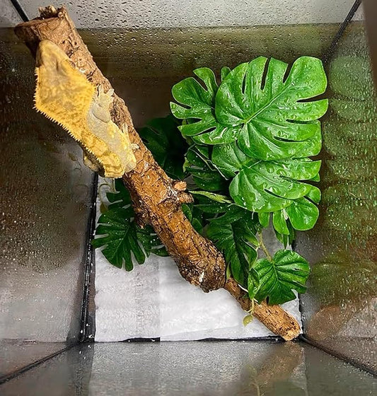 Woyrise Reptile Plants for Terrarium, Artificial Hanging Plants with Suction Cups, Amphibian Tank Habitat Decor Plastic Plant for Bearded Dragons Lizards Snake Geckos Frogs - 2Pack Fake Monstera Woyrise