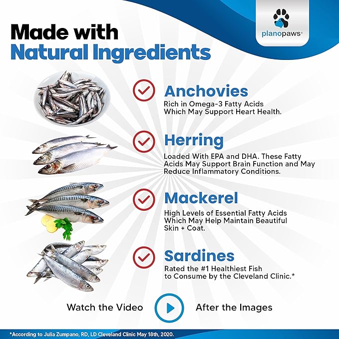 Omega 3 Fish Oil for Cats - Better Than Salmon Oil for Cats - Kitten + Cat Vitamins and Supplements - Cat Health Supplies - Cat Dandruff Treatment - Liquid Fish Oil for Pets - Cat Shedding Products planopaws