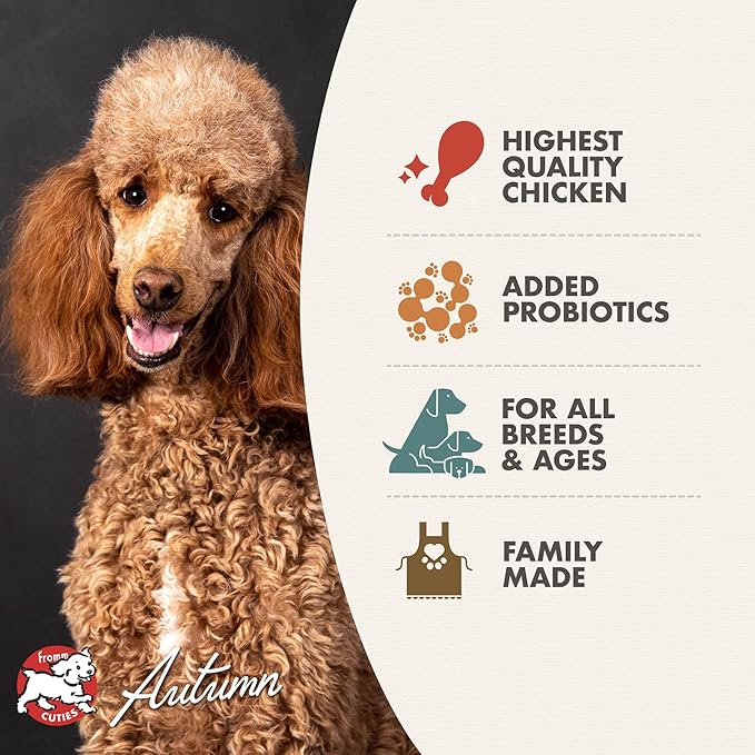 Fromm Four-Star Nutritionals Chicken au Frommage Dog Food - Premium Dry Dog Food - Chicken Recipe - 26 lb - PAWPICO
