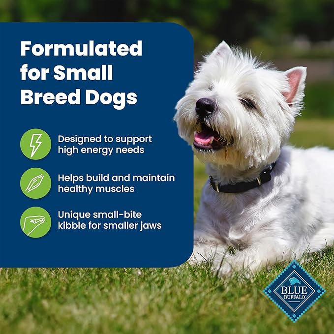 Blue Buffalo Life Protection Formula Adult Small Breed Dry Dog Food, Supports High Energy Needs, Made with Natural Ingredients, Lamb & Brown Rice Recipe, 15-lb Bag - PAWPICO