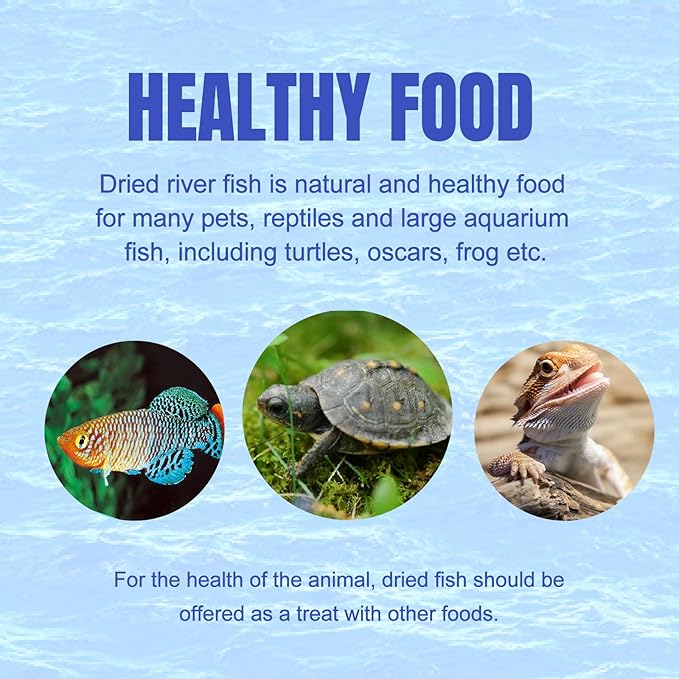 Amzey 2.3 oz Dried River Fish - Natural Food for Turtles, Terrapins, Reptiles and Large Tropical Fish Amzey
