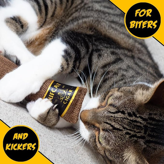 Cat Toy Cigar, Catnip Toys for Cats of All Breeds, Cat Toys for Indoor Cats, Kitten Toys, Action Themed Fun for Kicking, Biting, Chewing (Brown, 1-Pack) - PAWPICO