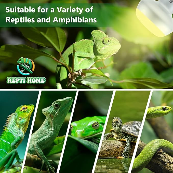Intense Reptile Heat Lamp Bulbs - 100W 4 Pack, Reptiles & Amphibians UVA Basking Spot Lamp Bulb,Simulate Natural Sunlight Reptile Daylight Heat Bulb for Bearded Dragon, Snake REPTIHOME