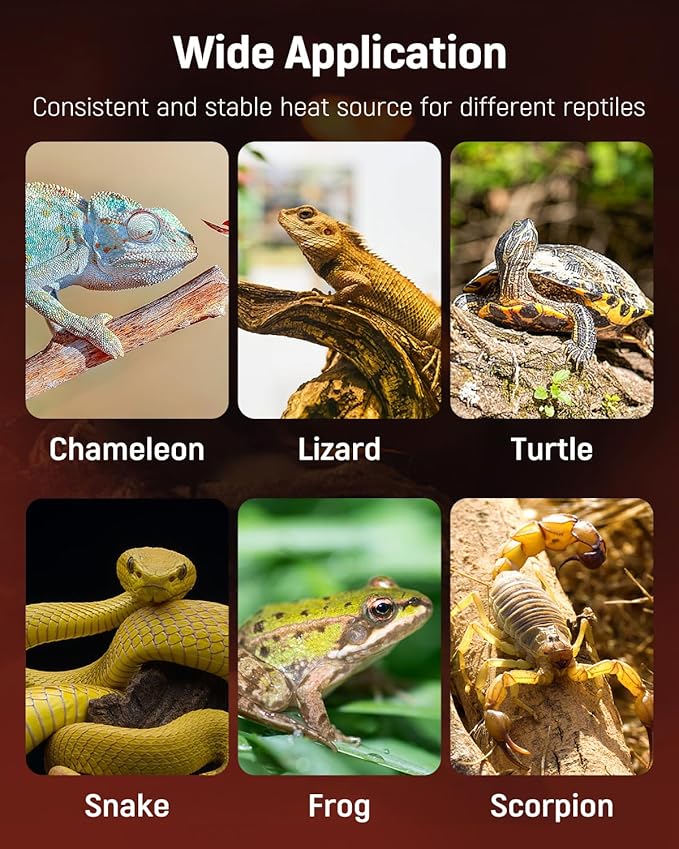 Pawfly 5 W Reptile Heat Pad 6 x 5.5 Inch Reptile Heating Pad Under Tank Terrarium Safe Fast Heating Mat Heat Mat for Turtles Frogs Snakes Lizards Geckos Hermit Crabs Spiders & Other Reptiles Pawfly