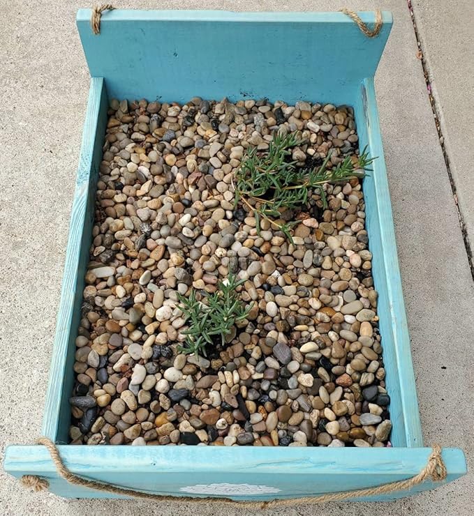 River Rock Stones, Natural Decorative Polished Mixed Pebbles Gravel,Outdoor Decorative Stones for Plant Aquariums, Landscaping, Vase Fillers (10 LB, Mixed Colors) Voulosimi