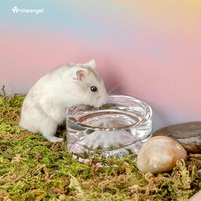 Niteangel Hamster Feeding & Water Bowls- Mount Fuji Series Glass Drinking Bowls for Dwarf Syrian Hamsters Gerbils Mice Rats or Other Similar-Sized Small Pets Niteangel