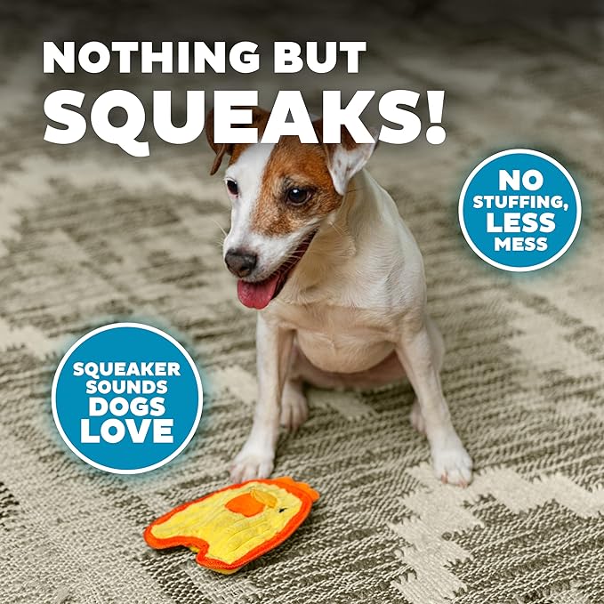 Outward Hound Durablez Tough Plush Squeaky Dog Toy, Chicken, Yellow, XS - PAWPICO